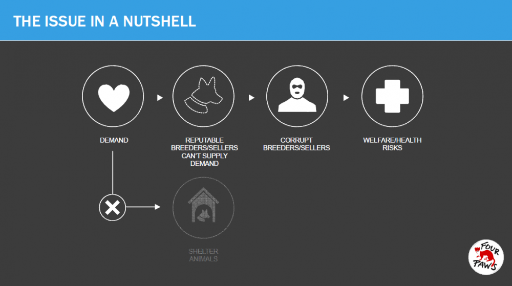 supply-demand-online in a nutshell.png