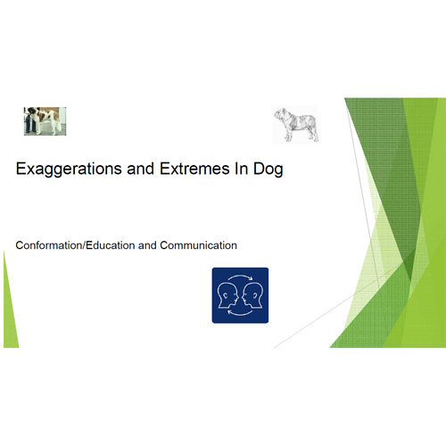Exagerations-and-Extremes---A.Hedhammer.png