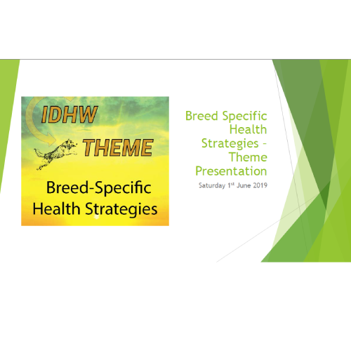 More information about "4th IDHW BSHS - Theme Outcomes"
