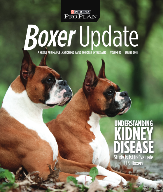 boxer kidney study - akcchf.png