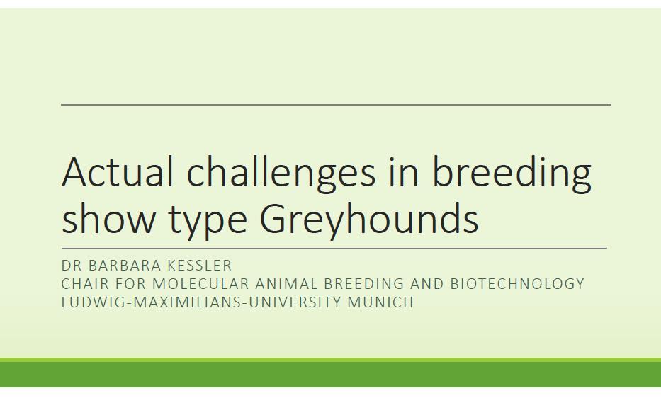 actual_change-1greyhound.jpg