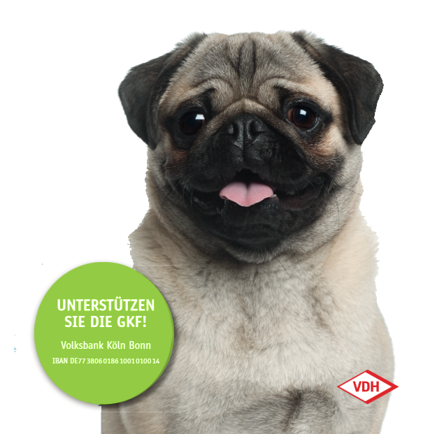 puggkf2019.png