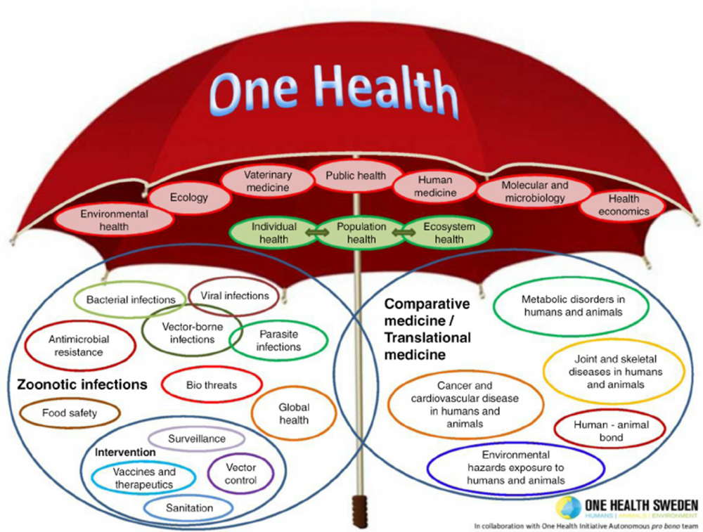 One Health Sweden.png