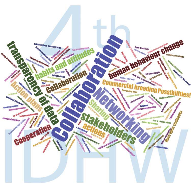 windsor work cloud.png