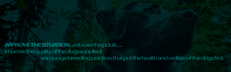 Breed Health... What is your vision?