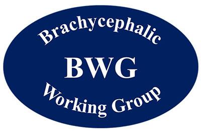 bwgLogo -Oval navy blue.jpg