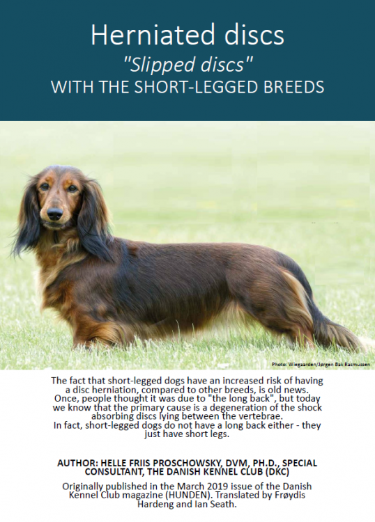 herniateddisks-denmark research.png