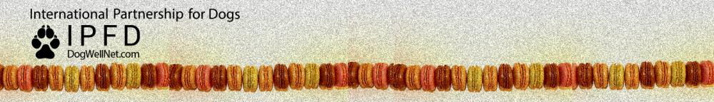 cookie banner ann.png