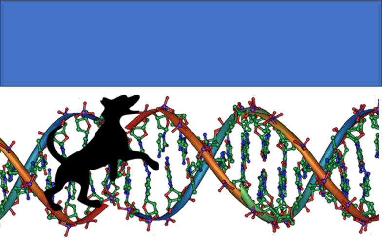 Ask Aimee: Breeder wants to know about prioritising a new genetic test
