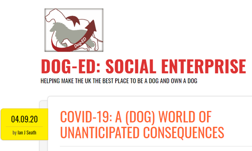 Dog Ed Covid article.png