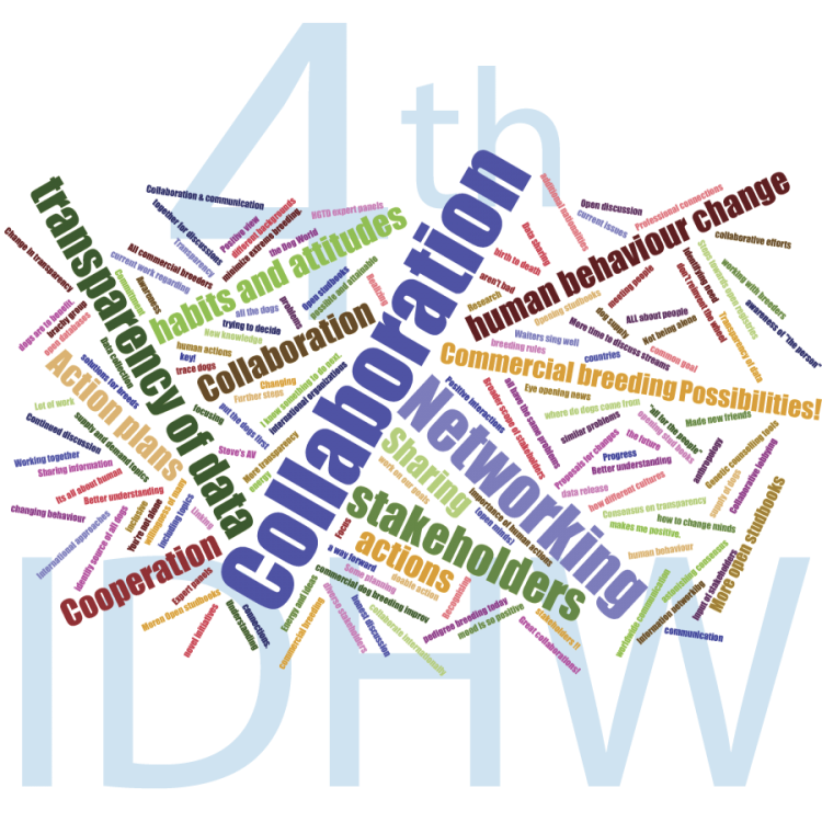 4thidhw-key-experiences.png