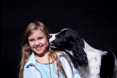 COVID-19 - a novel experience for dogs and people