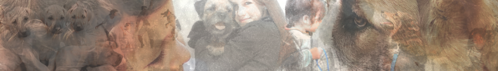 ipfd-peopleanddogs.png