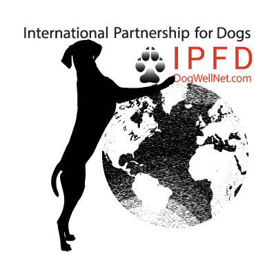 ipfd-wherewework.png