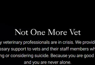 Do you know that veterinary well-being is a big issue?