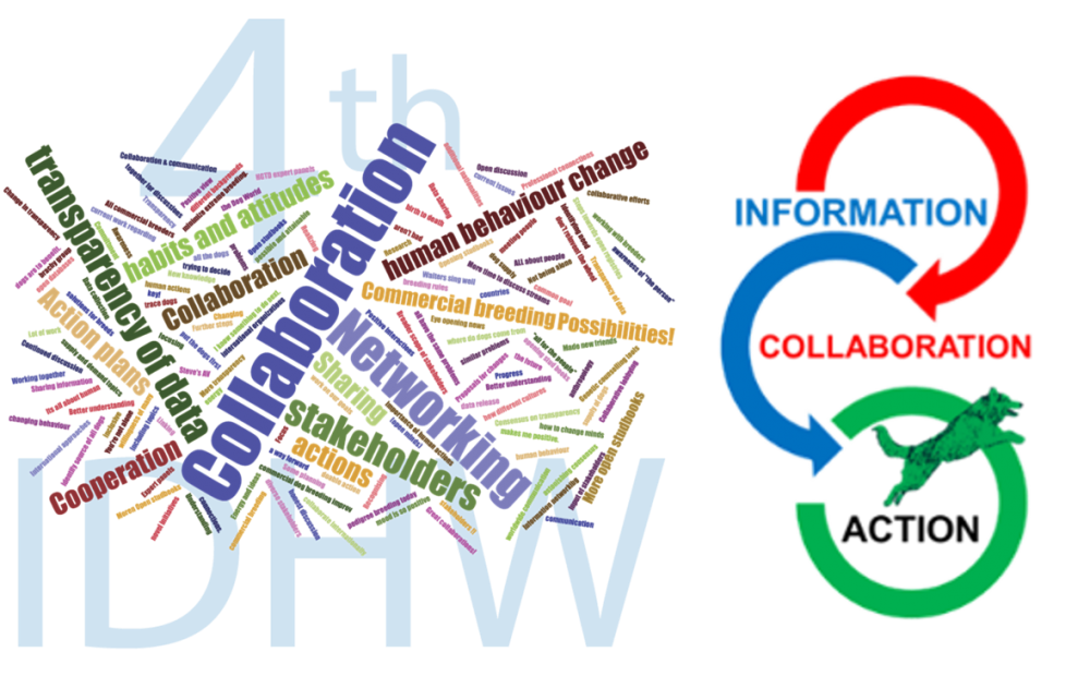 IDHWS_2.png