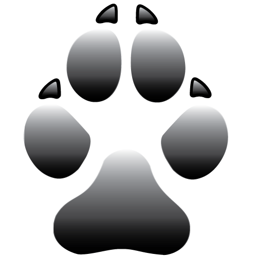 blackpaw500.png