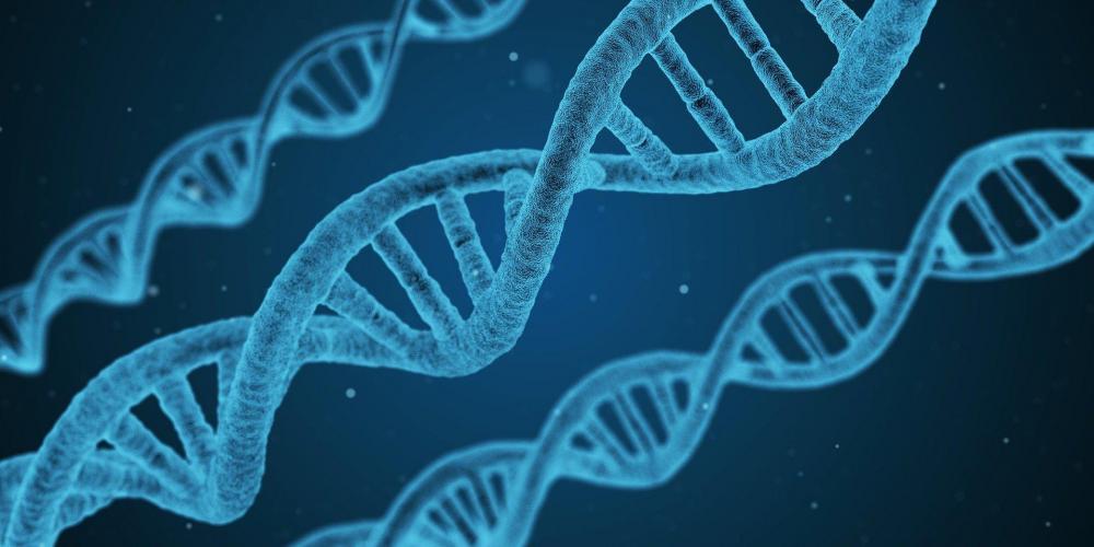 DNA.jpg