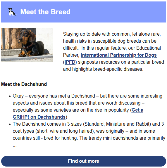 bulletin aug 2020.png