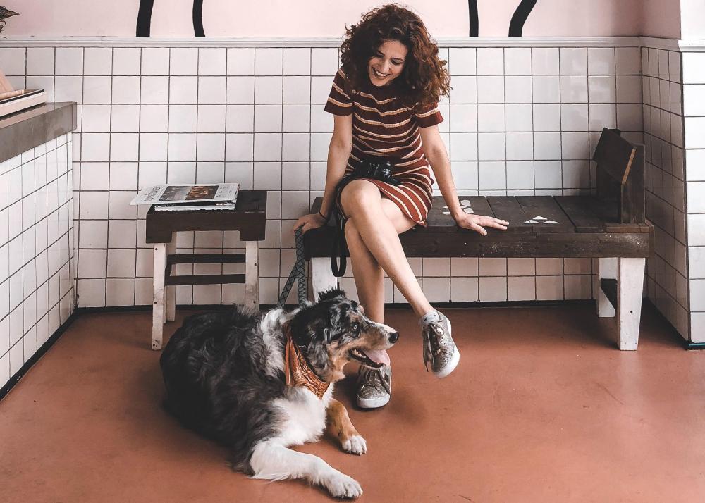 pexels-alana-sousa-3294248 vet office.jpg