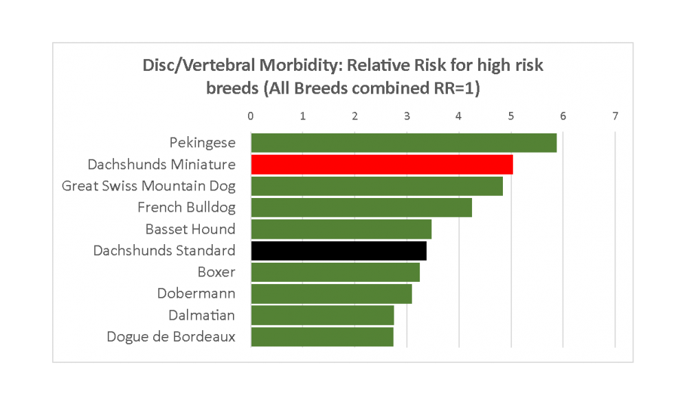 dachs-agria-11-16-disk-vertebral-morbidity-relative-for-high-risk-breeds--all-breeds.png