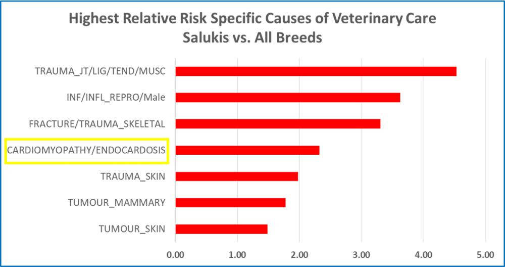 Saluki RR spec causeds.png