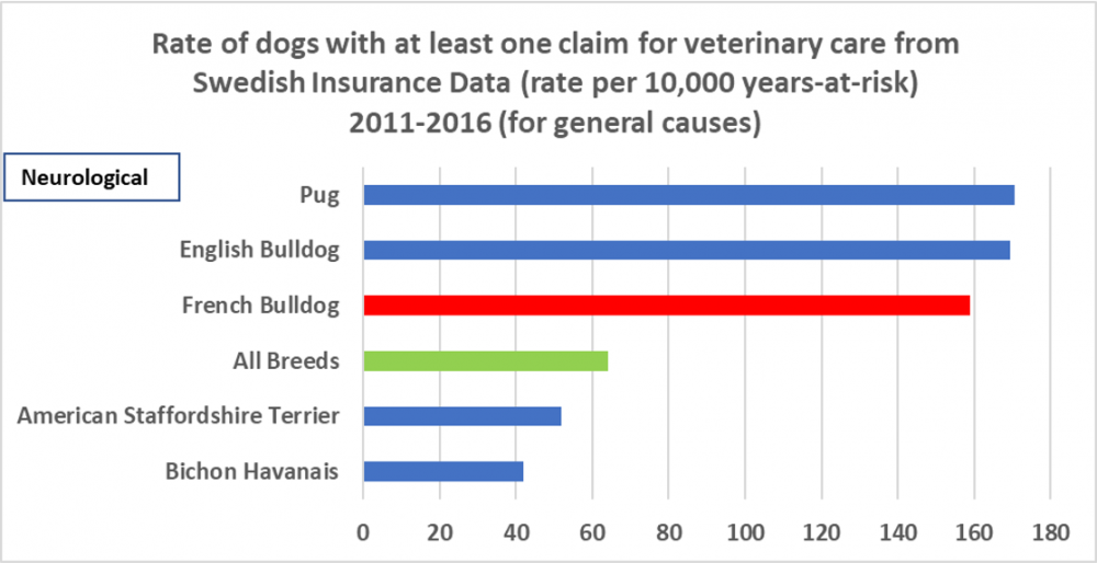 FBd others neurological.png