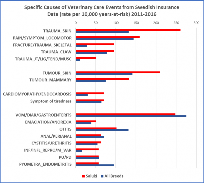 Saluki rates spec causeds.png