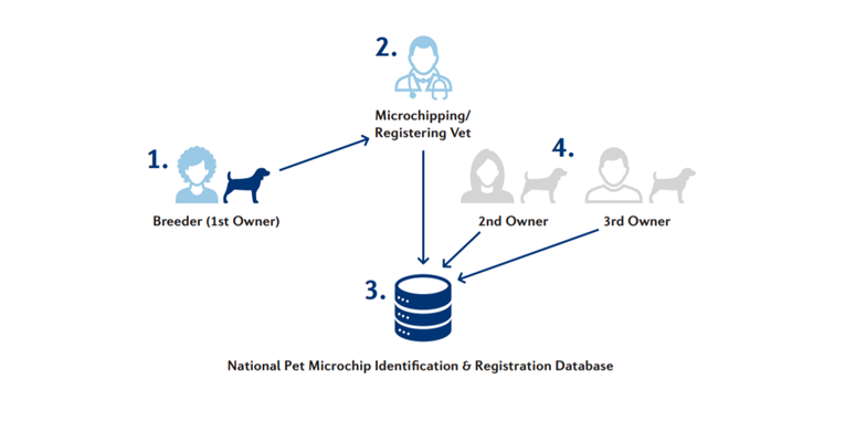 Four Paws Traceability - first steps.png