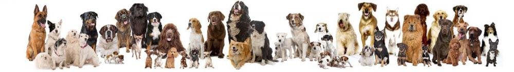 breedsonwhite1400x197.jpg