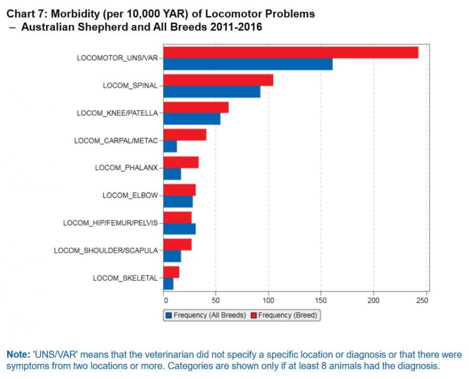 aussie- agria locomotor1.JPG