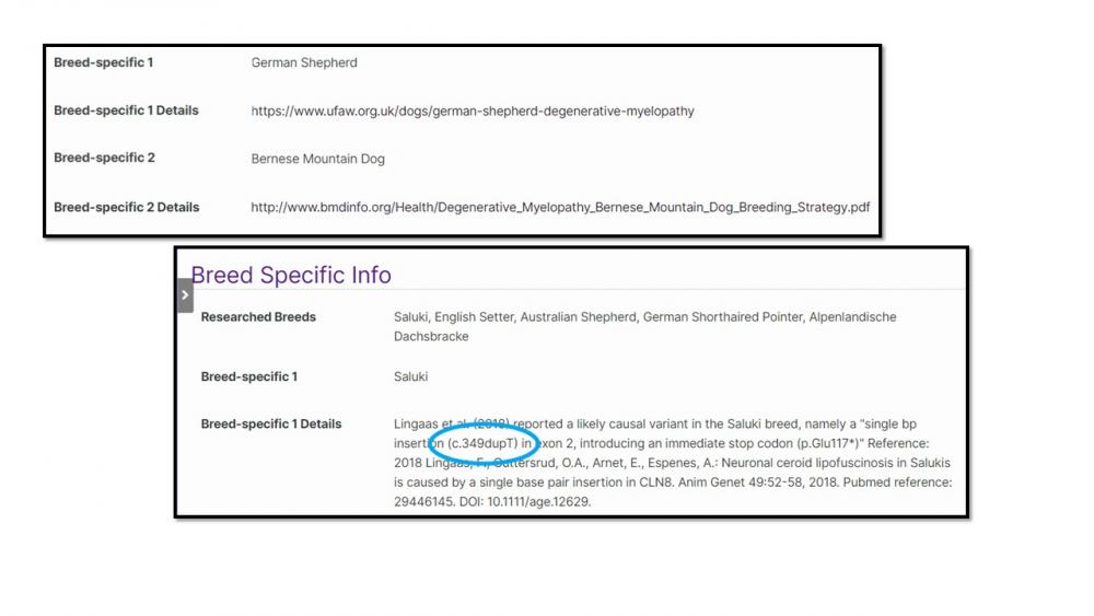 BE for BS example.jpg