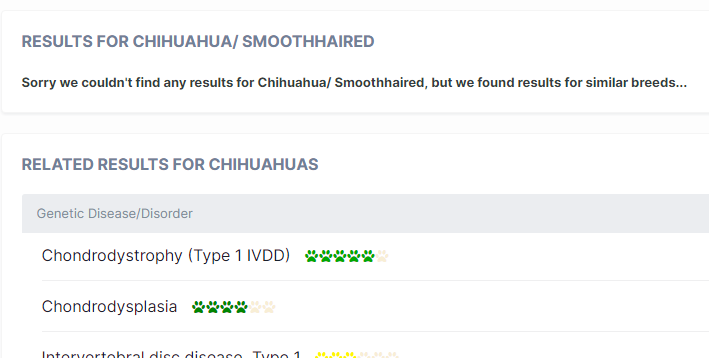 chuhuahua no results small.png