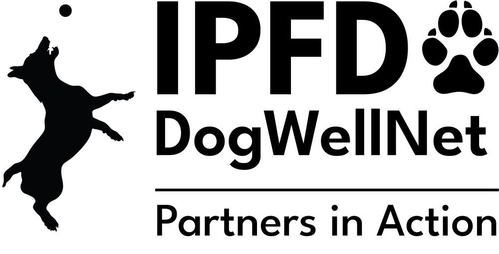 Partners in Action 2020.png