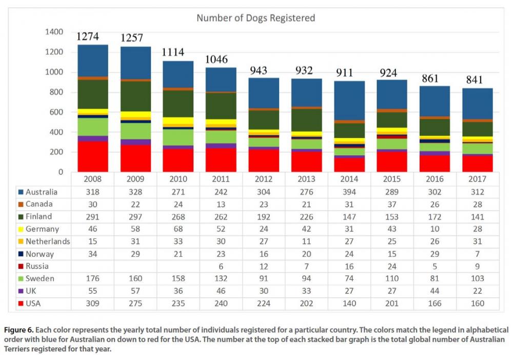 Australian Terrier - global population