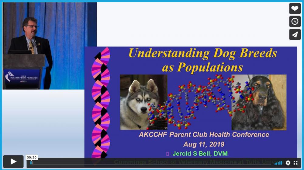 J. Bell - Video - Breeds as Populations - AKC-CHF 2019