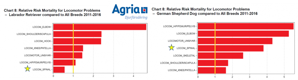 agria stats lad and gsd.png