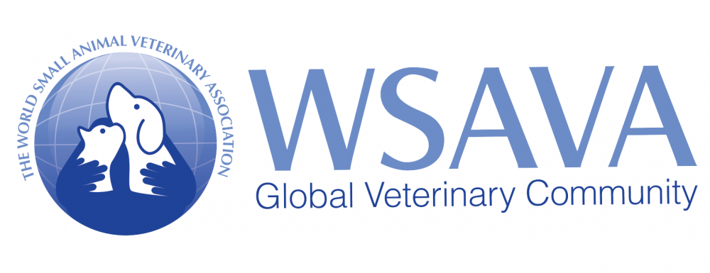 wsava-logo-2020-rectangular.png