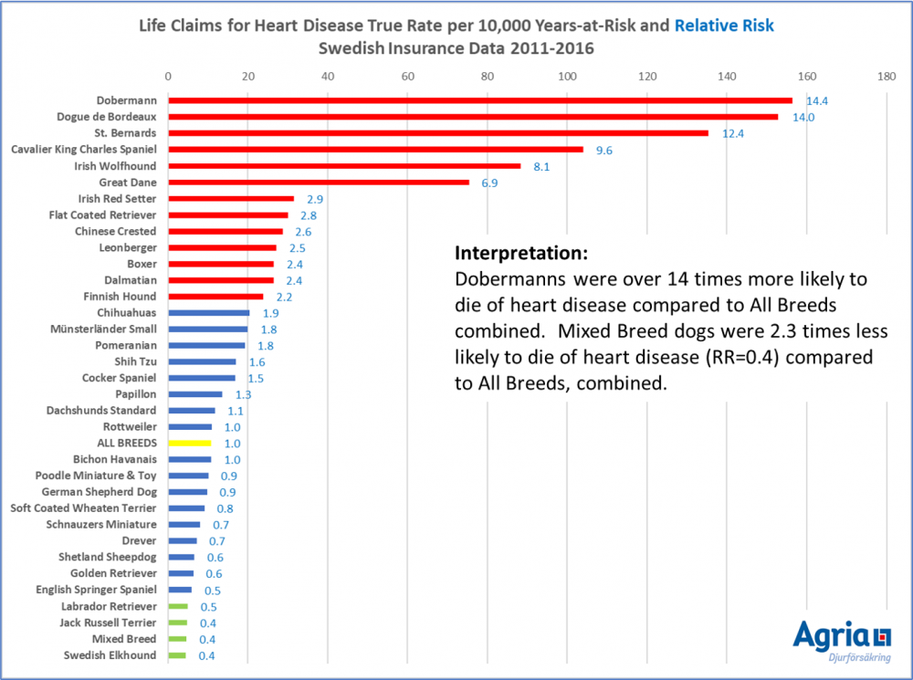 breed risk heart disease LIFE 2011-2013.png