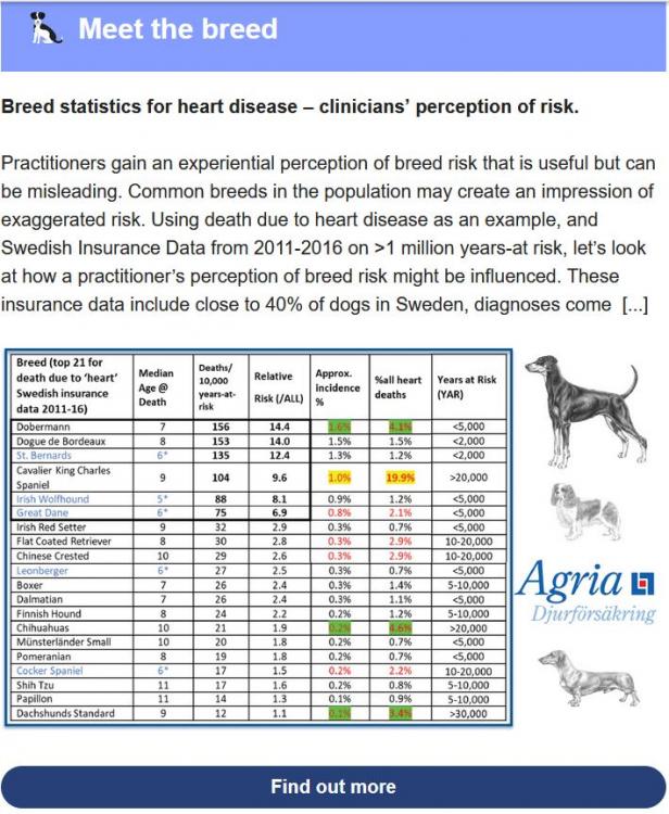 Dog Breeds What You Need to Know IPFD Feature in WSAVA Bulletin