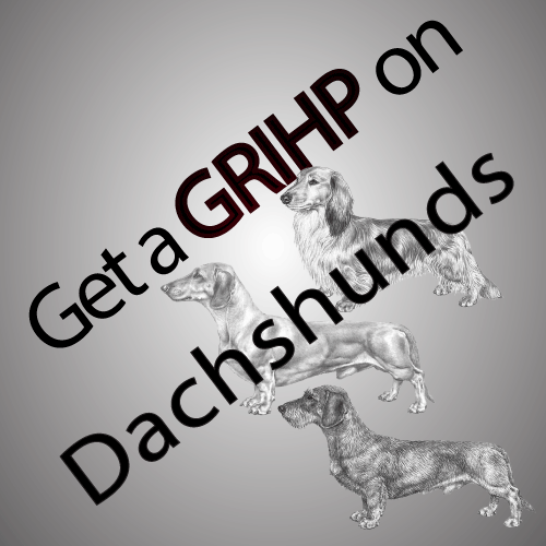 GRIHP-DACHS.gif