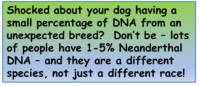 neanderthal DNA.png