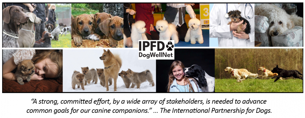 IPFD Collage 13Sep2020.png