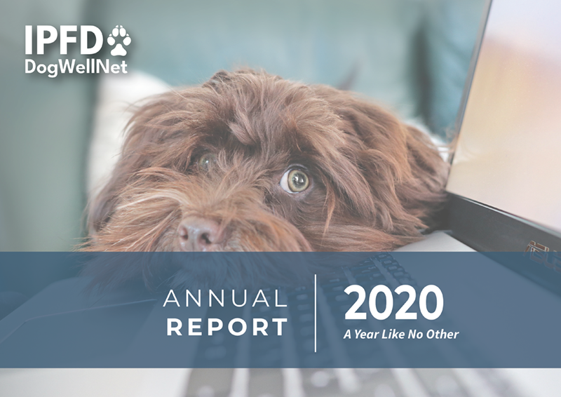 2020 IPFD Annual Report cover sm.png