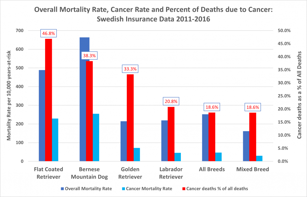 mortality over cancer percent of cancer deaths.png