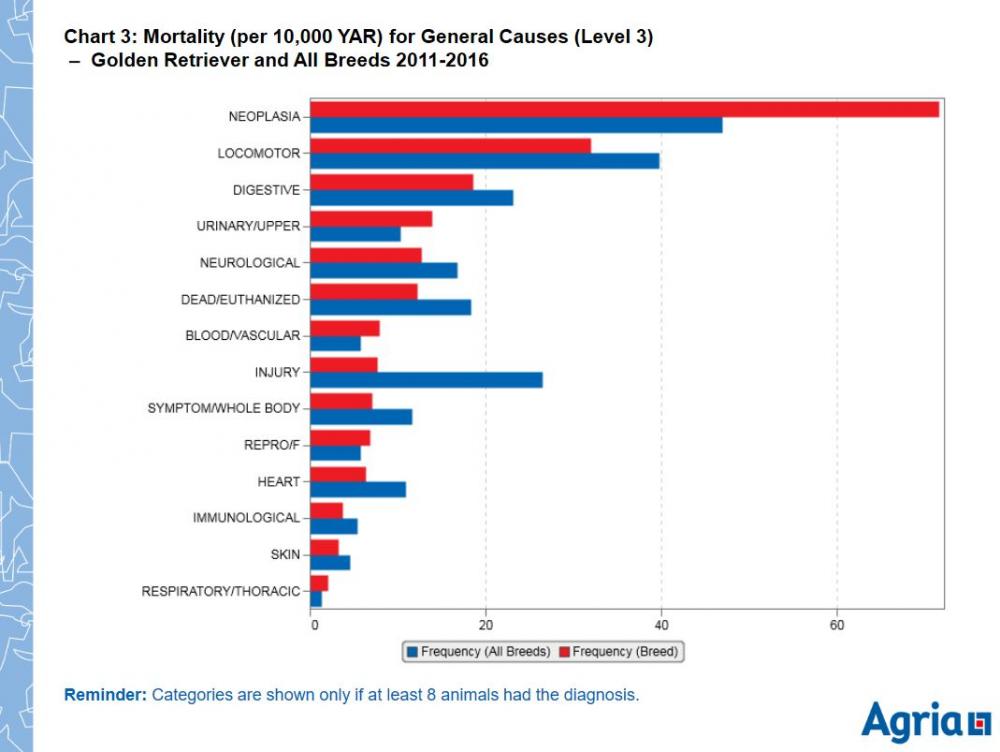 gr-mort-general-agria 11-16.JPG