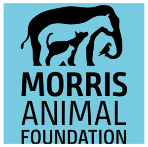 morris-animal-foundation-logo-4-2-2020.png