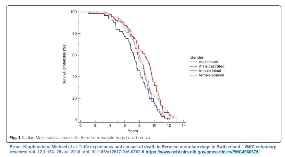 Swiss study survival curves.png