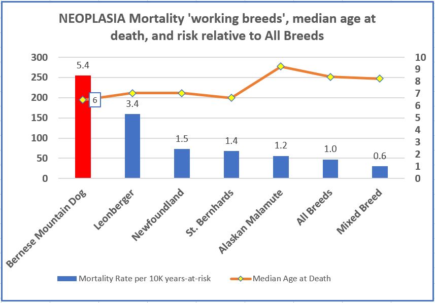 working breeds - agria 11-16-neoplasia.JPG