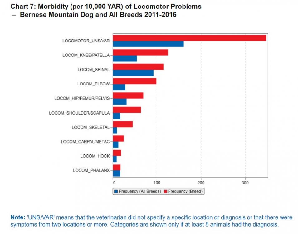 bmd agria 11-16 locomotor.JPG